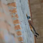 Casa vacanze La Piccola Bellezza *