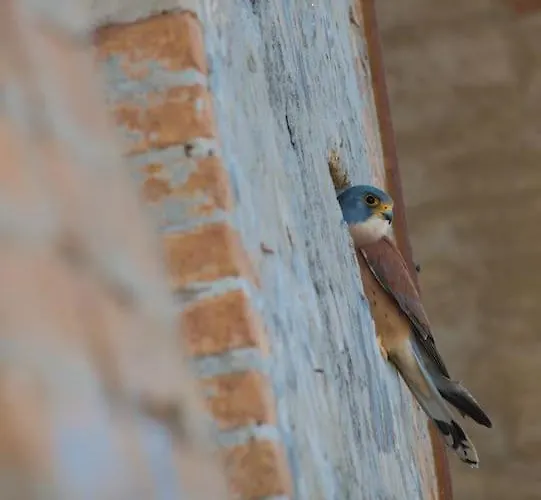 Prázdninový dům La Piccola Bellezza *