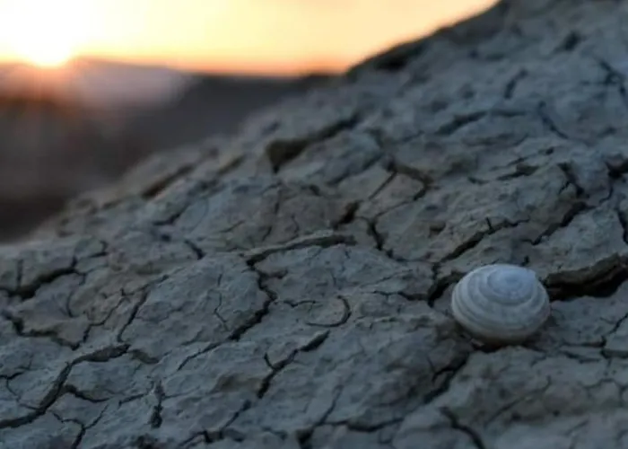 Prázdninový dům La Piccola Bellezza *